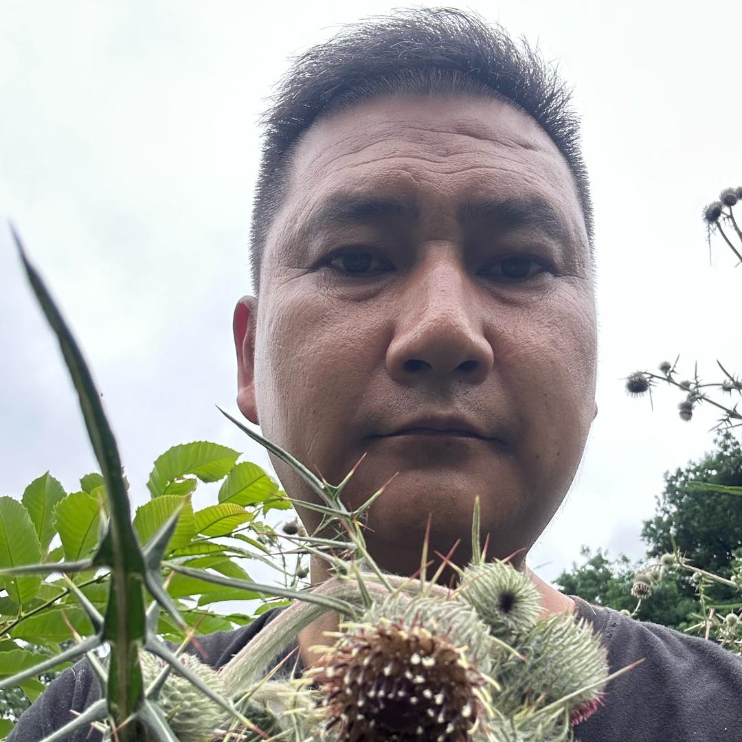 野菜哥