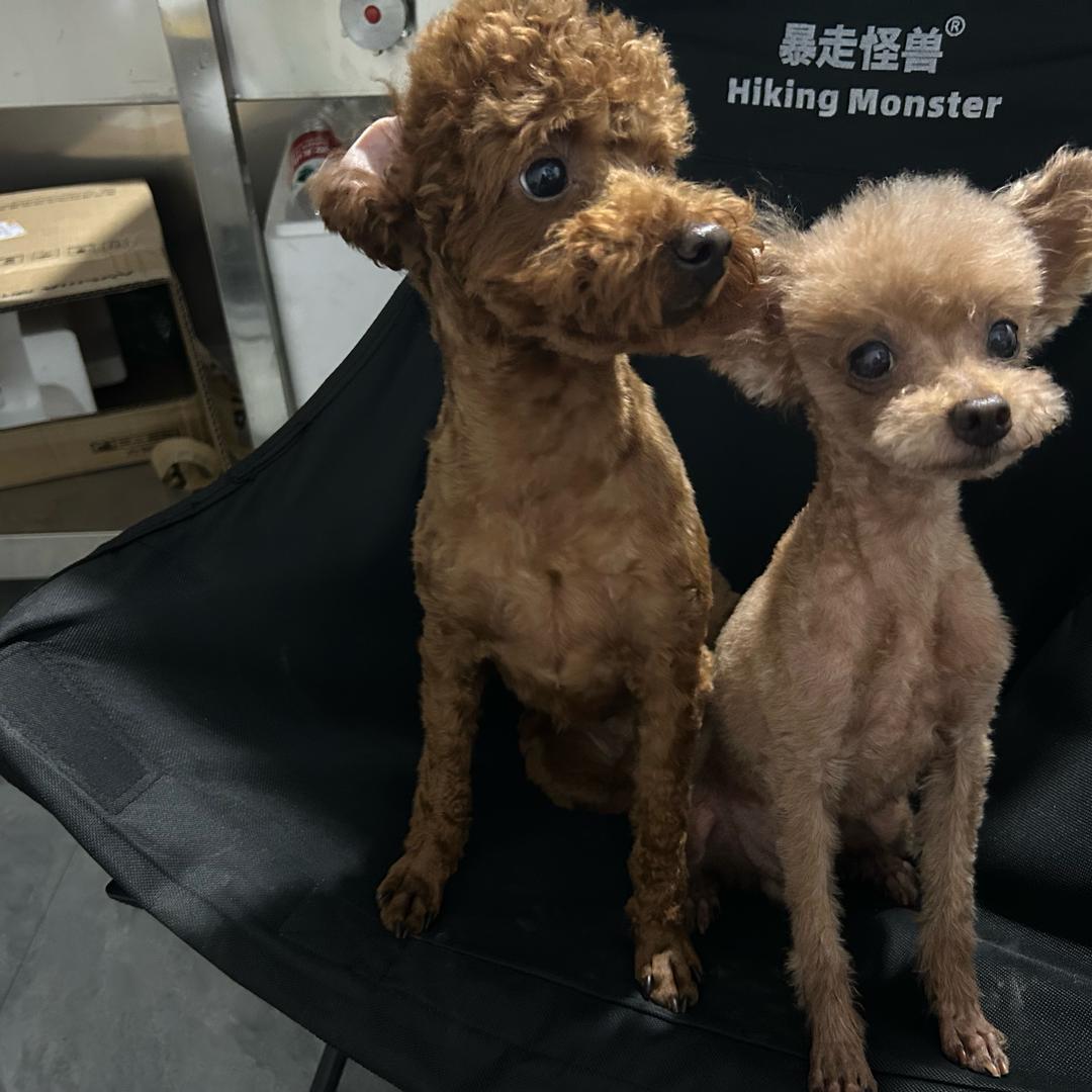 北洛兴业路麻辣烫