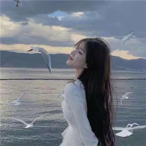 琳琳