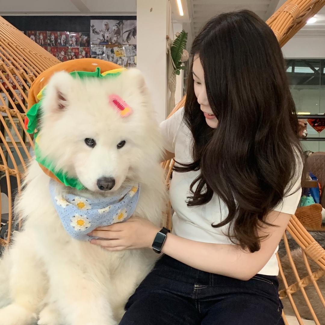 三宝妈咪在努力
