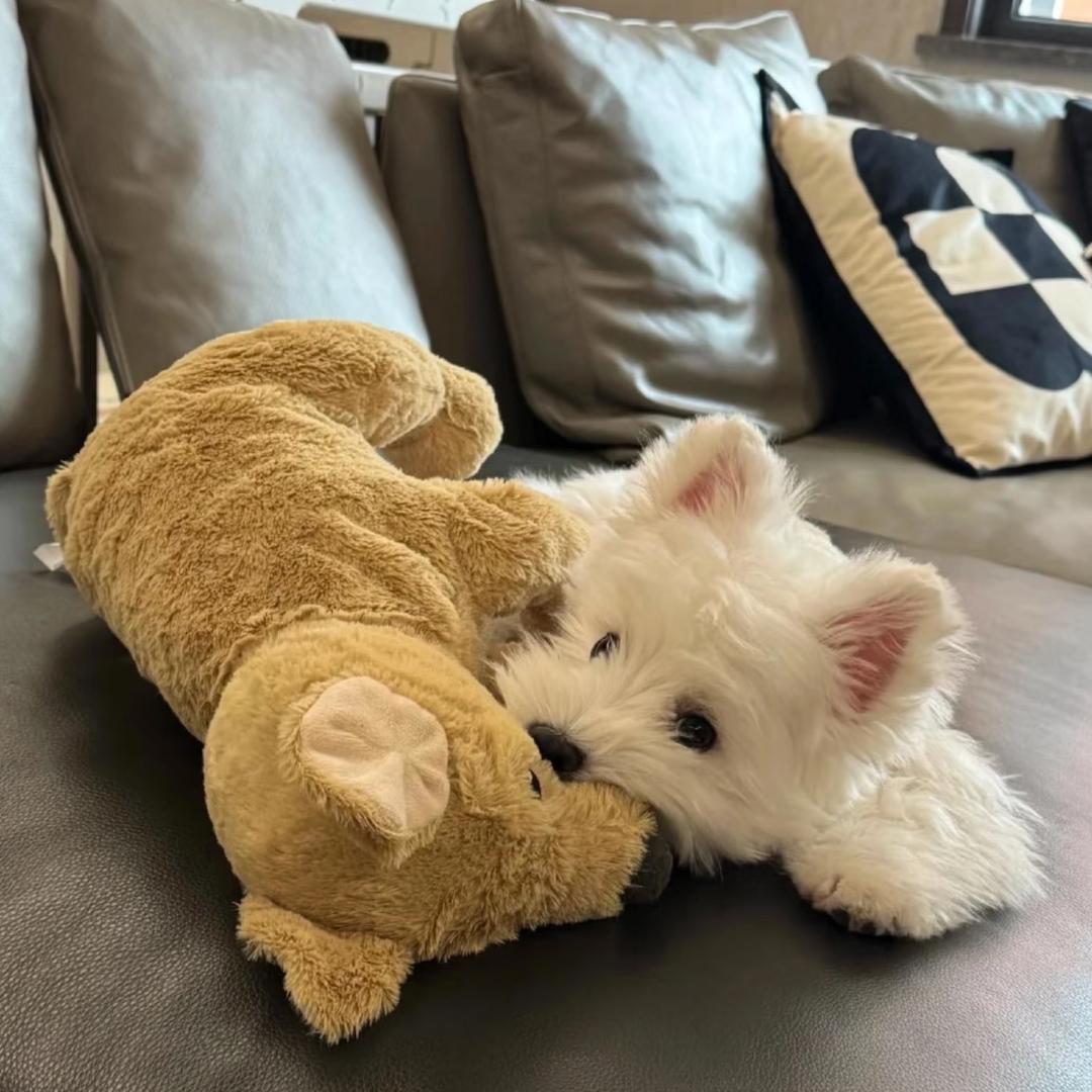(^3^)-★
