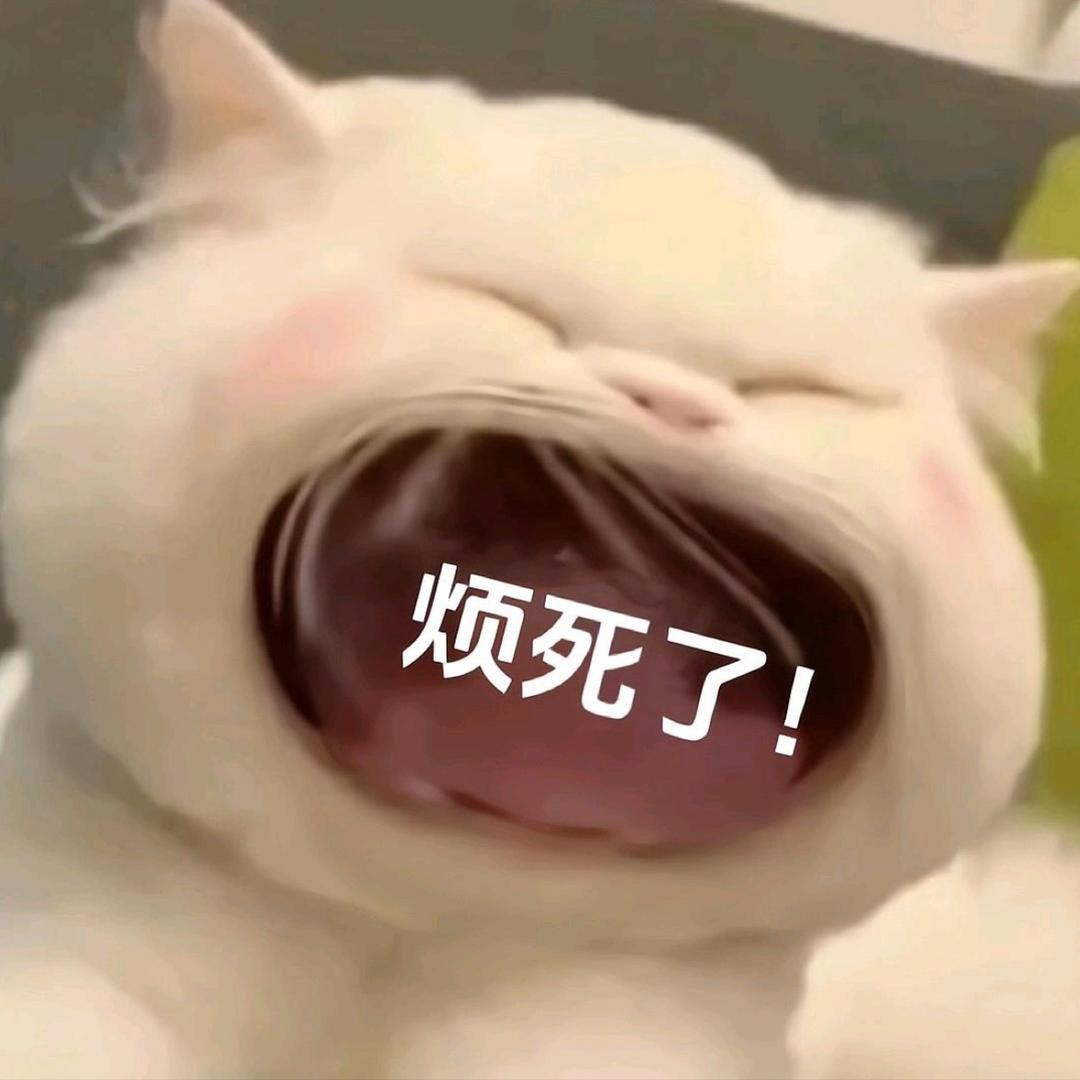 雪漫