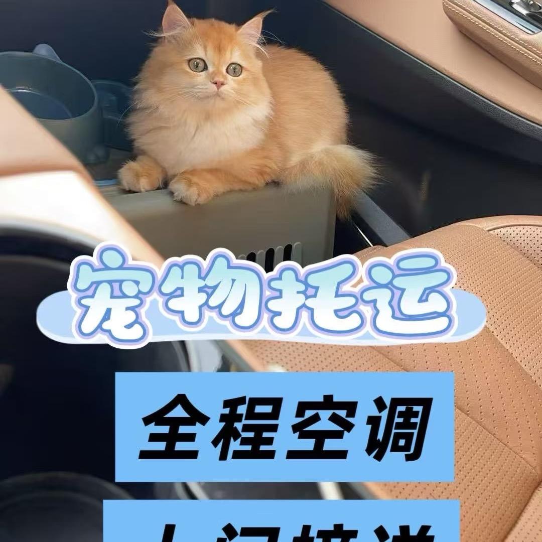 全国宠物托运服务