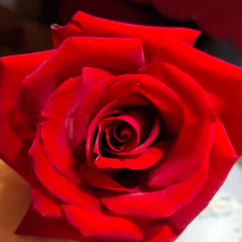 ❤️后来的我们