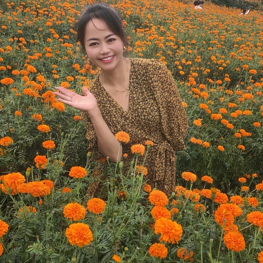 如果。