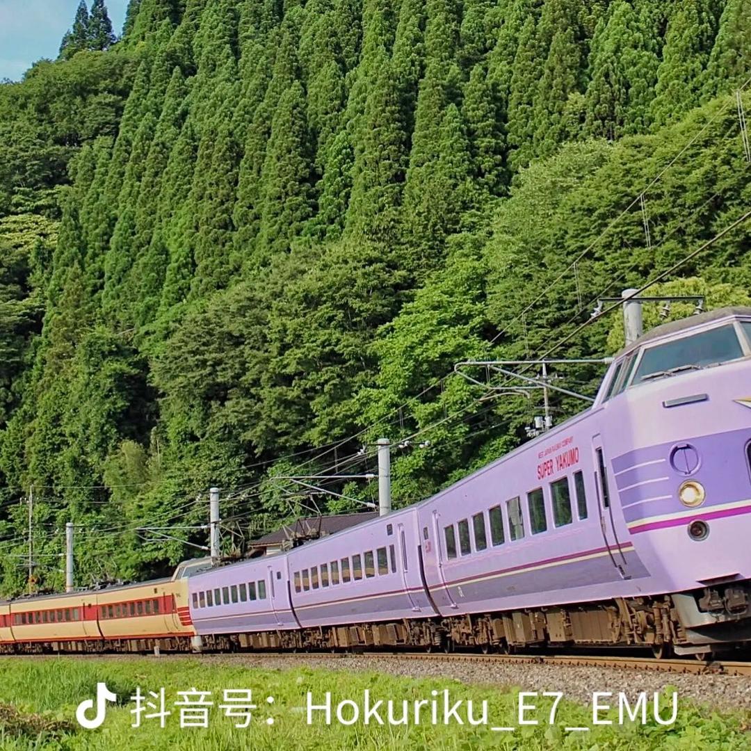 一只381系