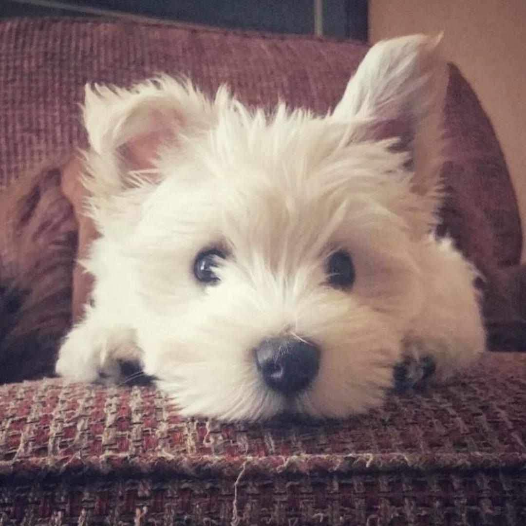 想一拳打扁这个世界