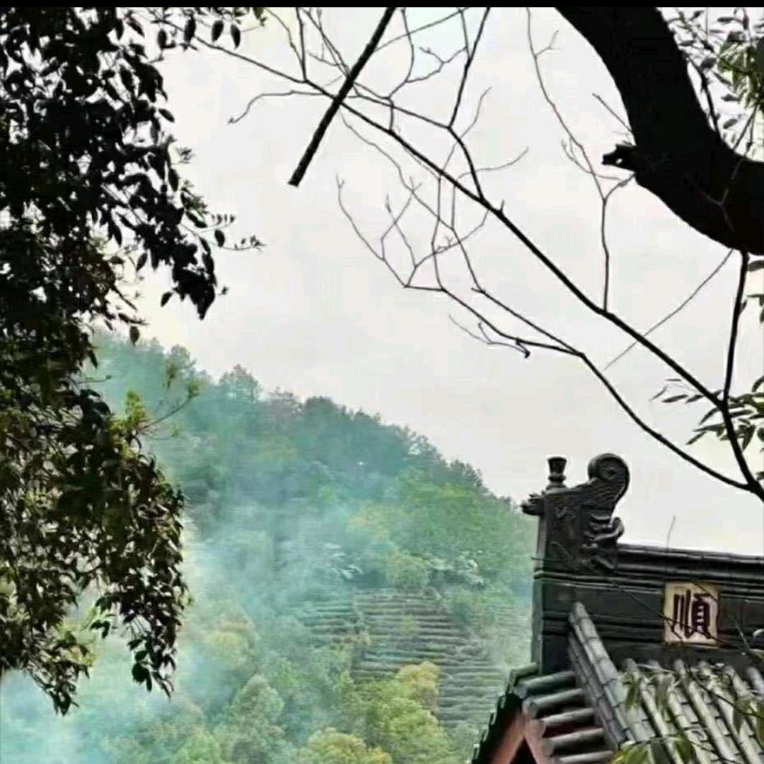 足球竞猜