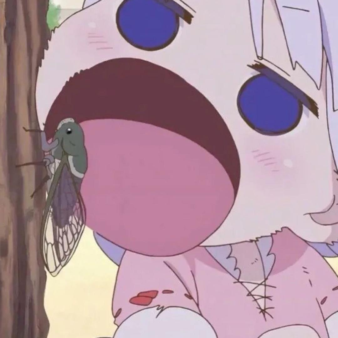 小Z同学