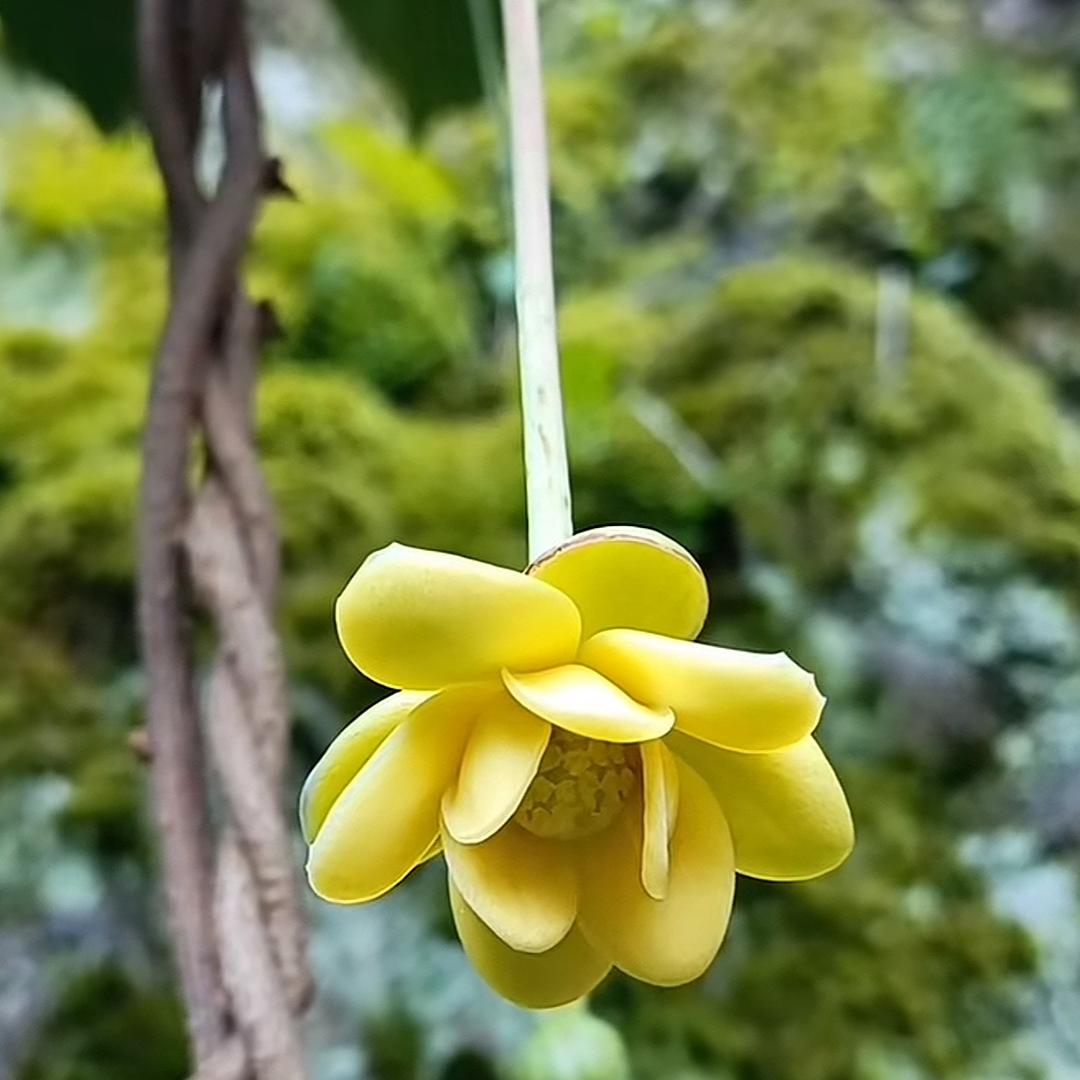 塔山