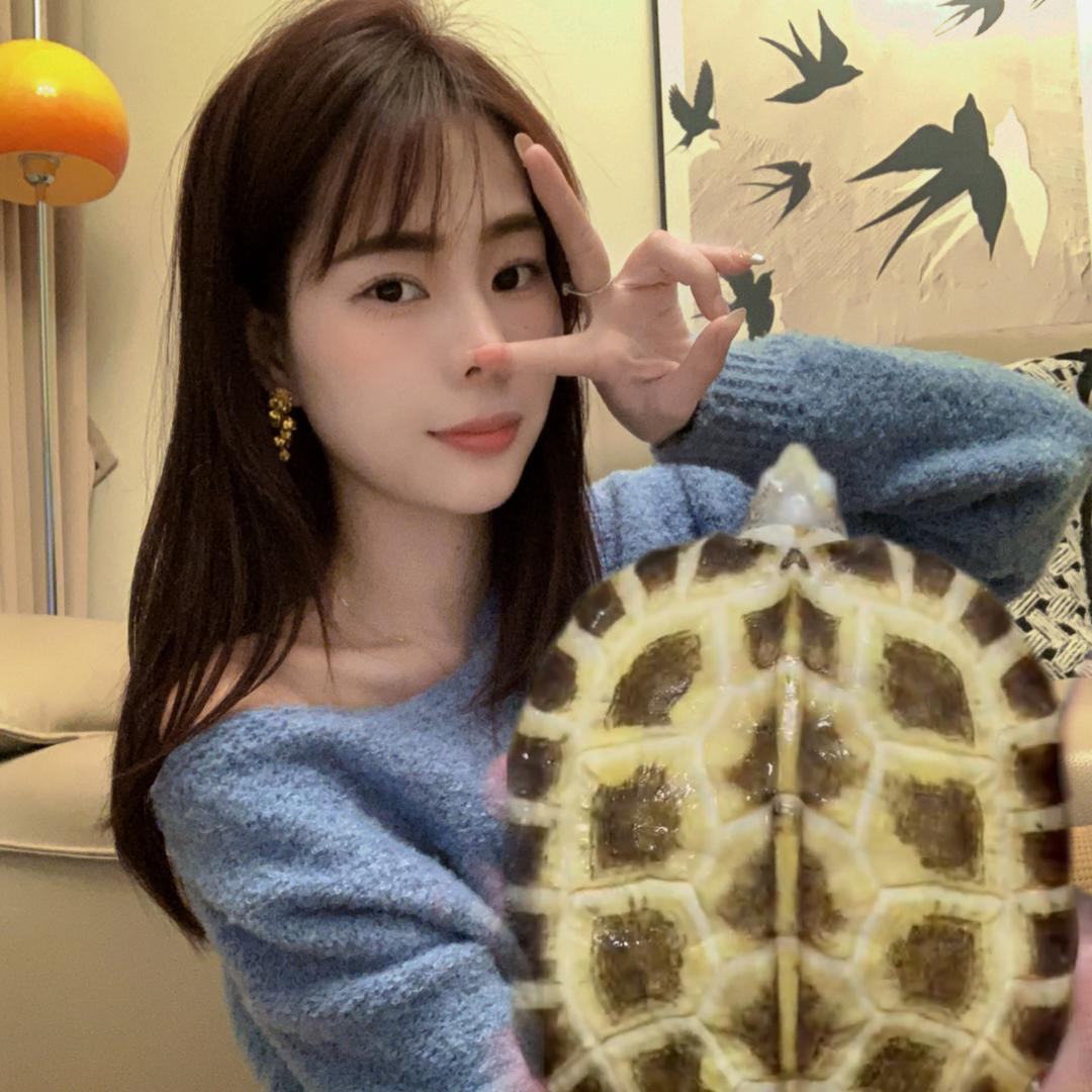 华霖龟龟