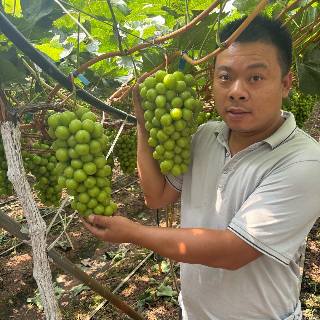 西昌做农业的小饶