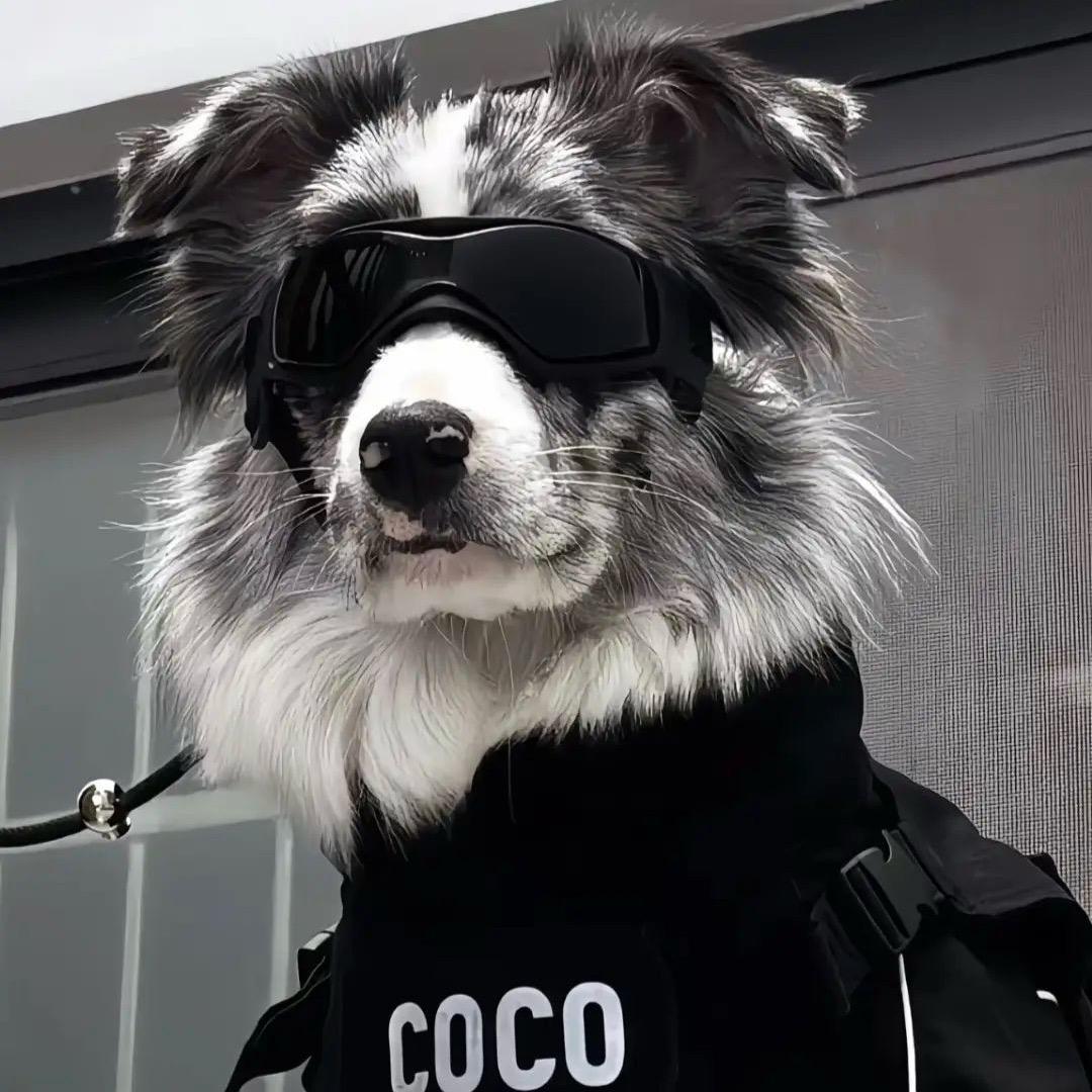 违规昵称a'lemuhalo