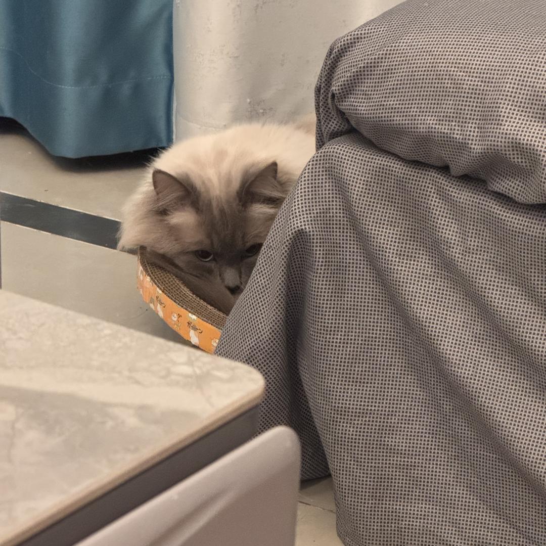 翊泽