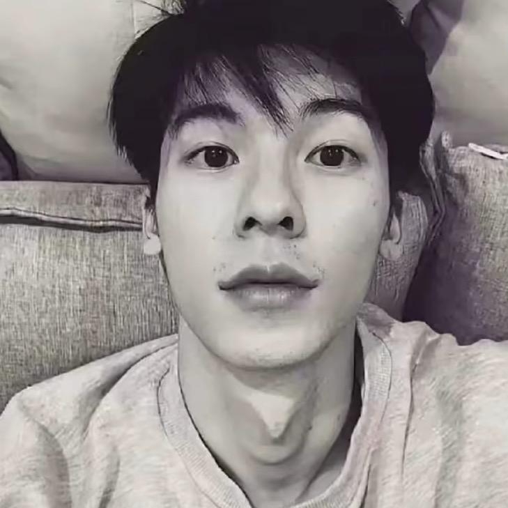 孙翼.