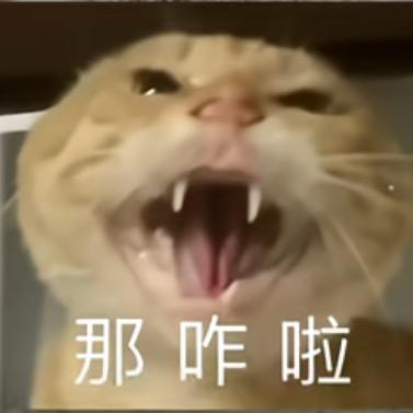 哈基米选集