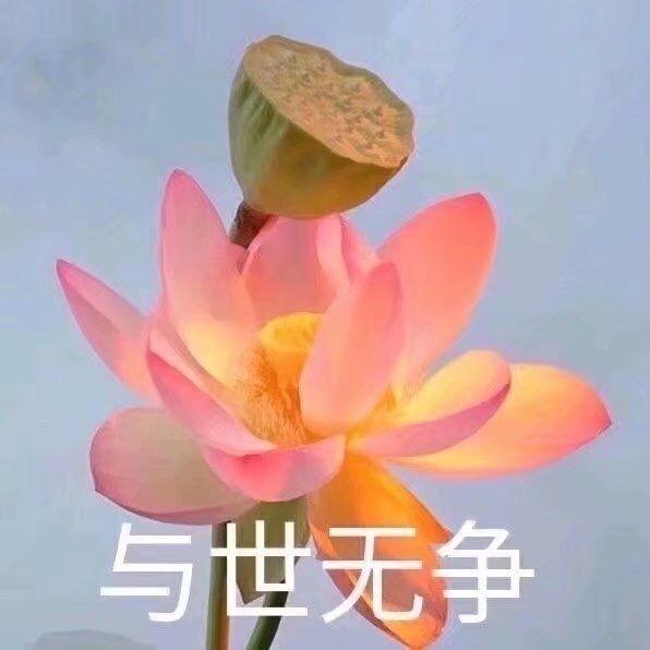 炸茄盒