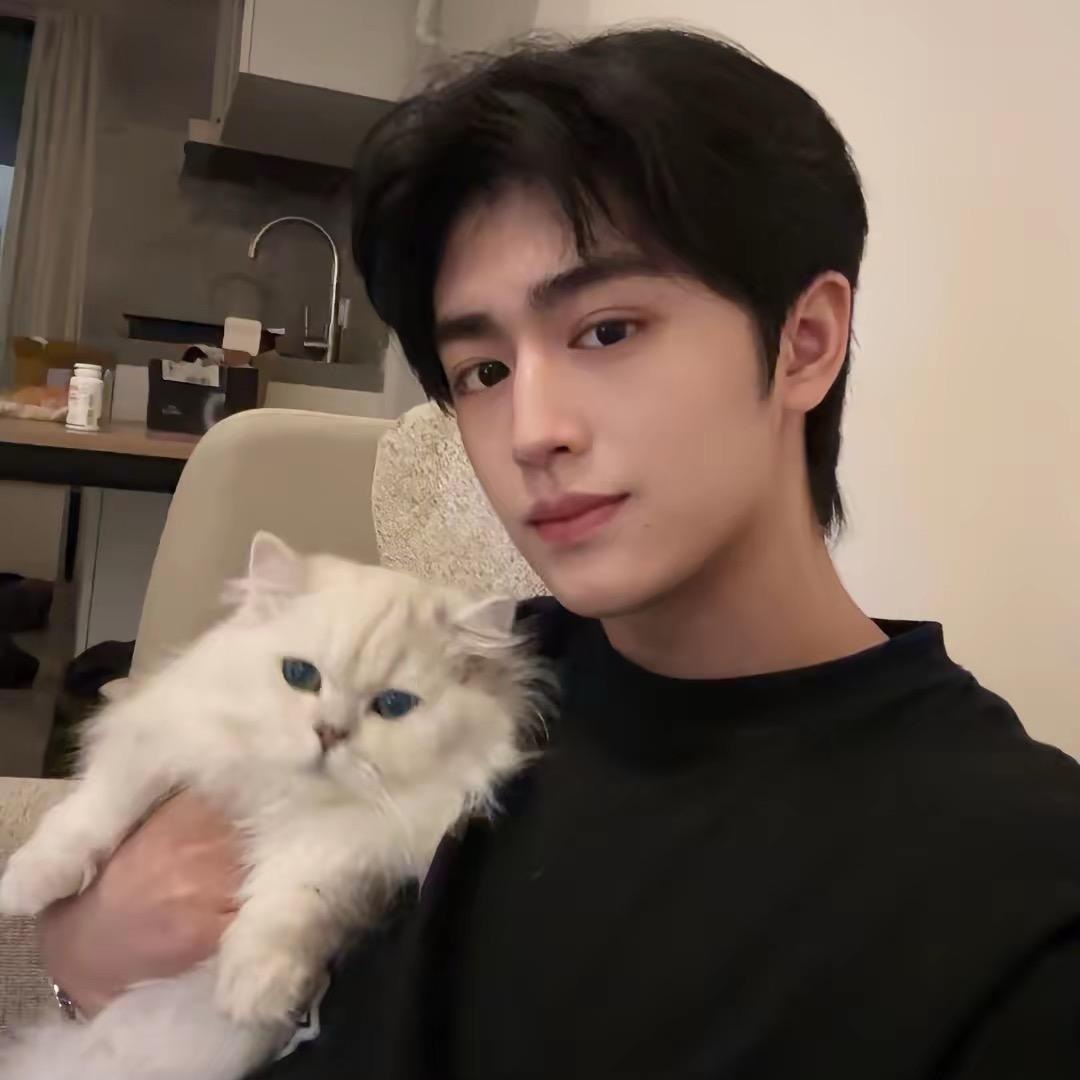 超级猪猪侠