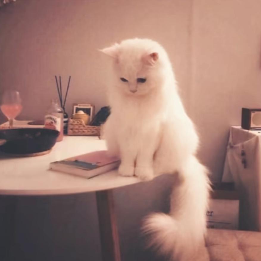 泪水拌饭又省包盐