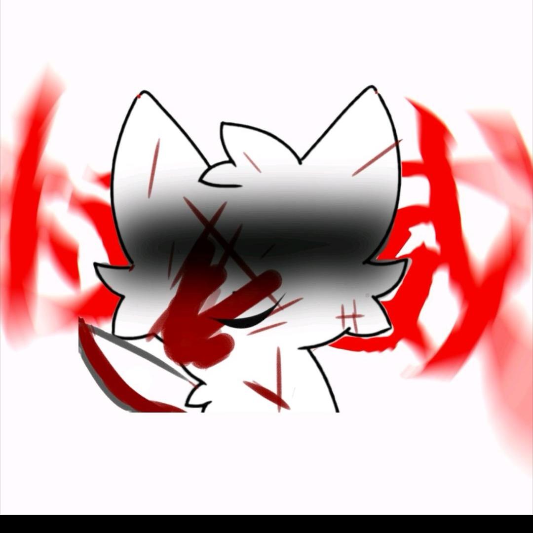 某猫游戏直播号