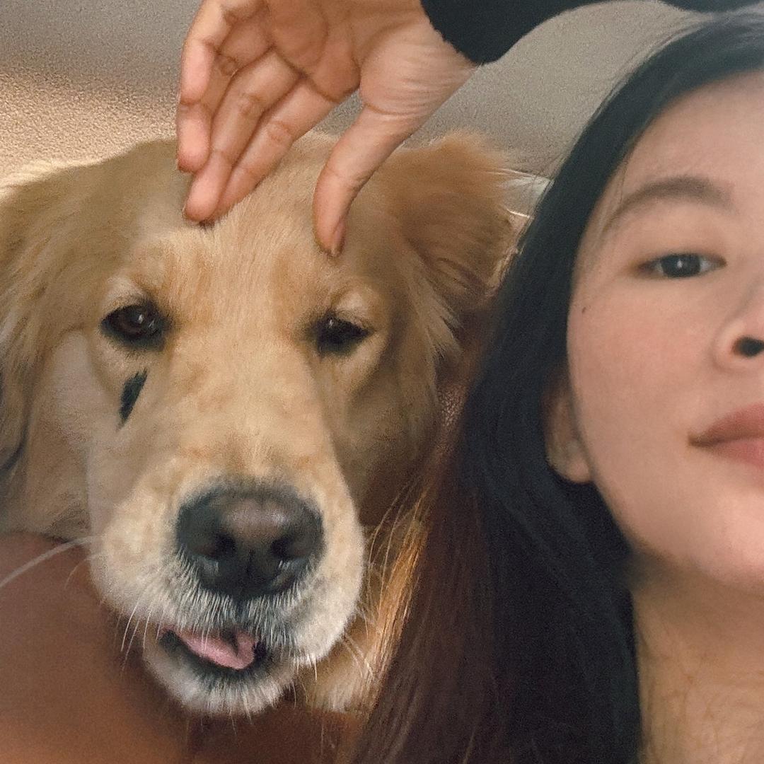 我有一只刺猬🦔