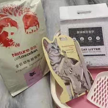 灯火阑珊处123