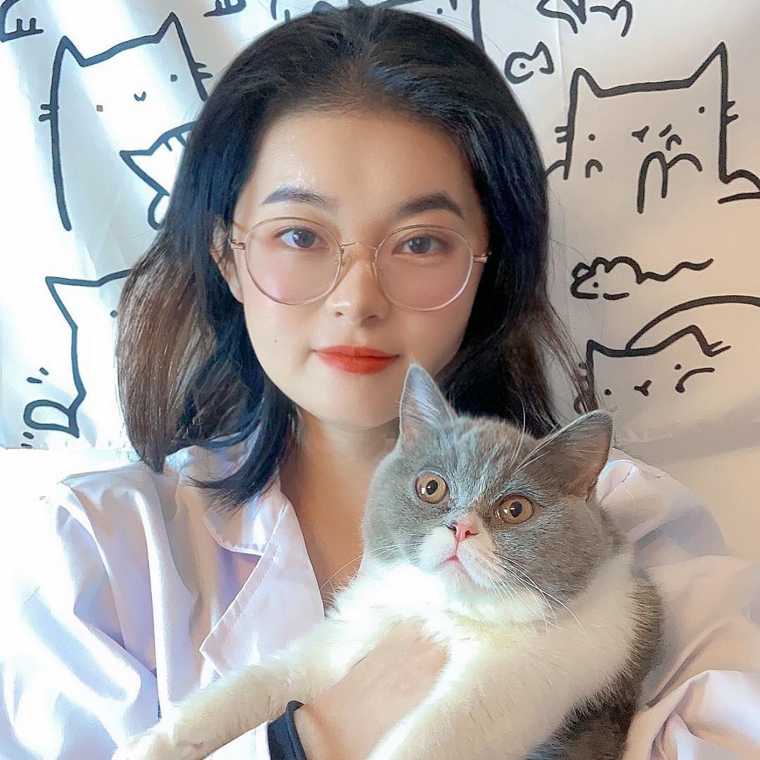 小陈养猫100招