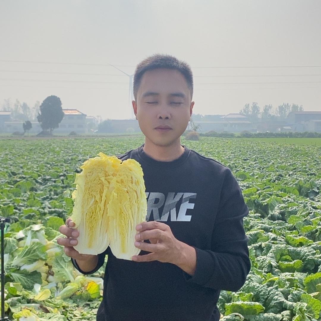 小张绿色甄选