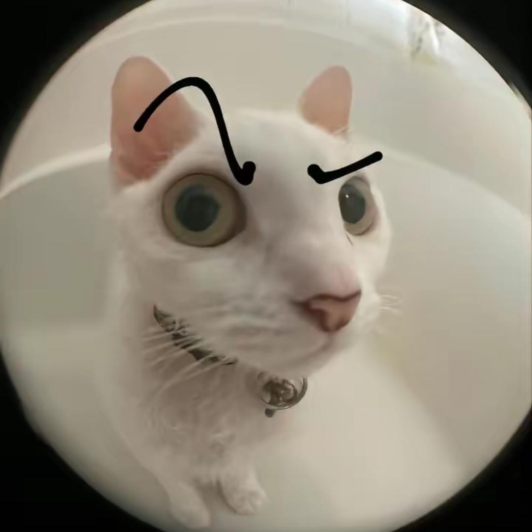 -巡回的彗星-
