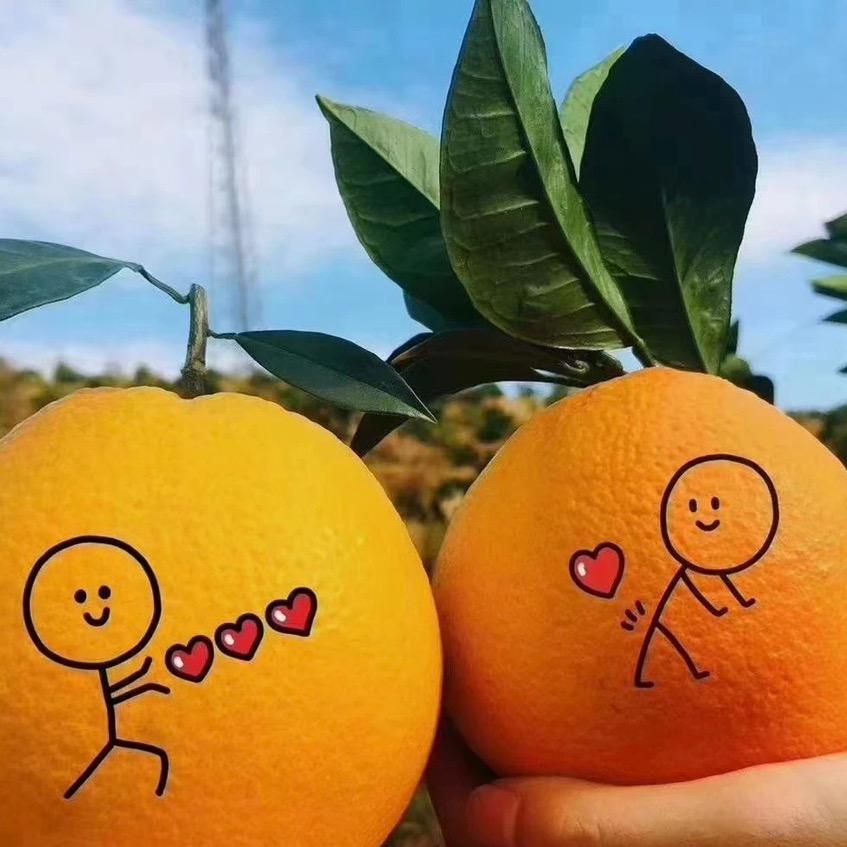 闽侯白沙脐橙orange