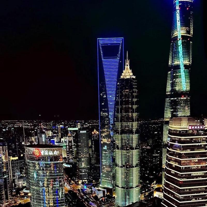 白天不懂夜的黑