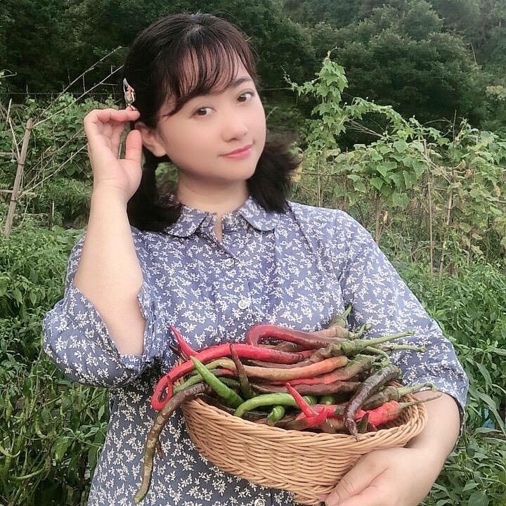 围山豆苗