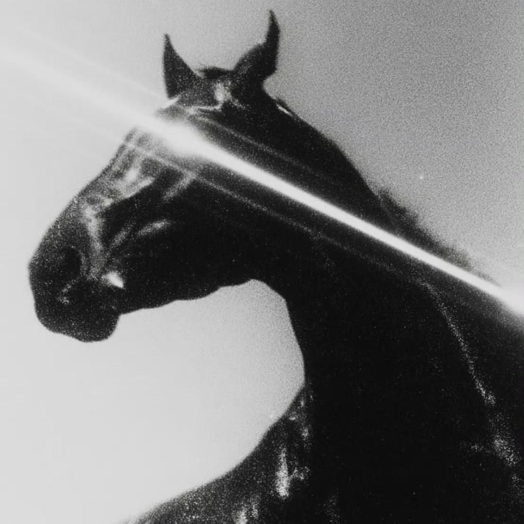 𝐙𝐡𝐢𝐝𝙩𝙨𝙝𝙩𝙚𝙣