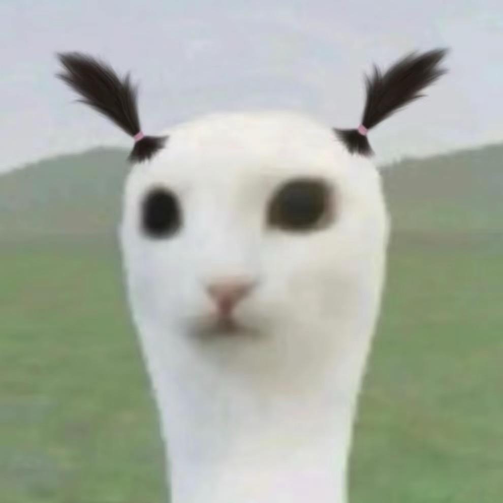 羊驼