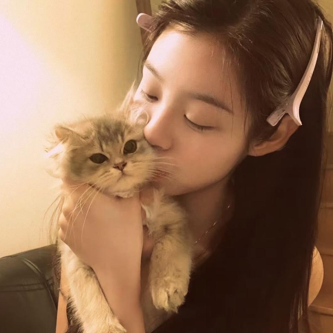 🐾1105🐾