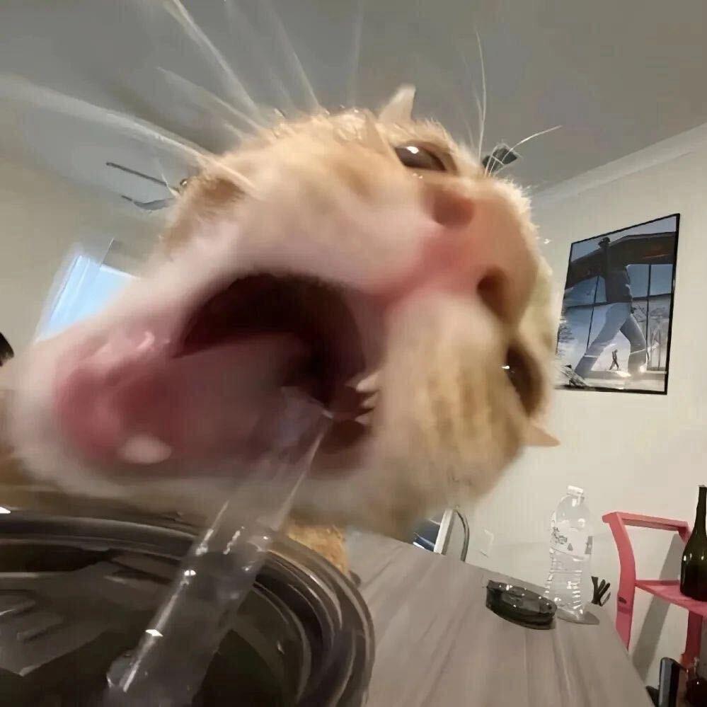 悟有
