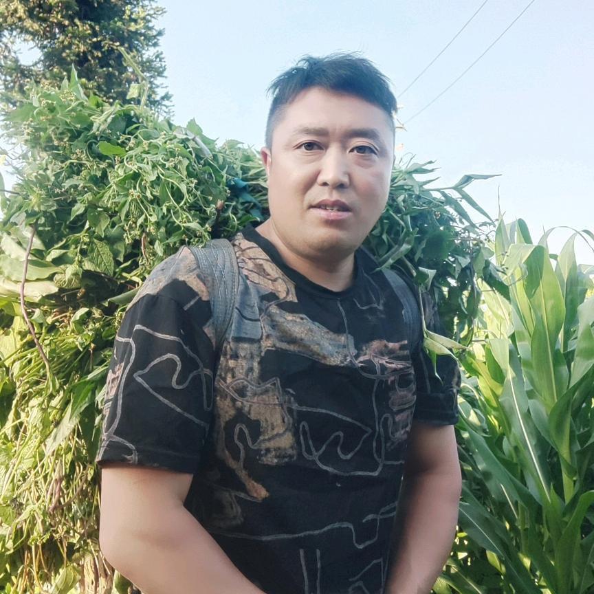 云南周哥