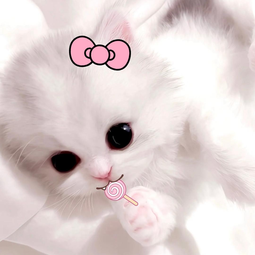 爆爆丸子（见过汪苏泷版）