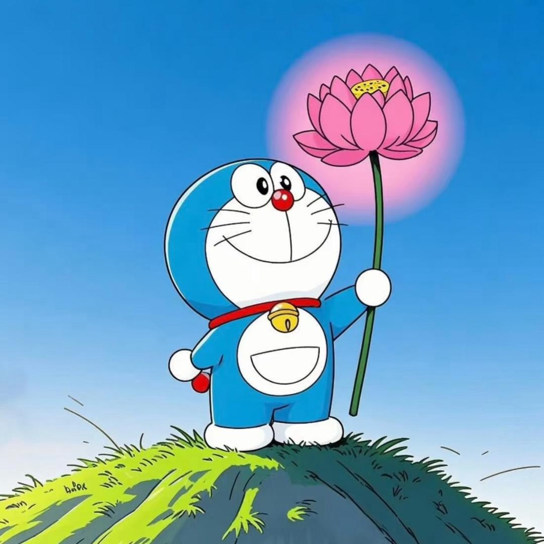 皮皮-