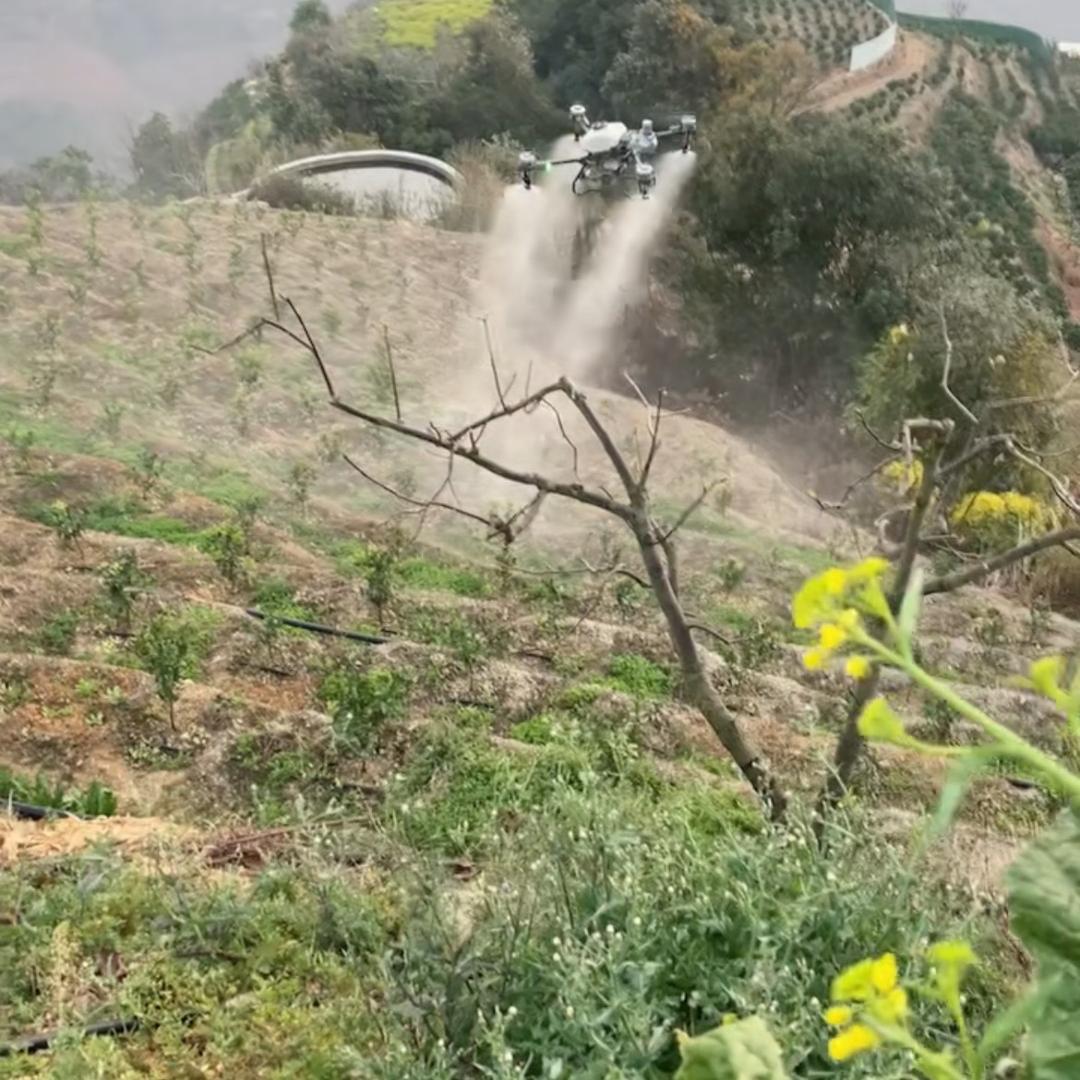心稳路顺LYH