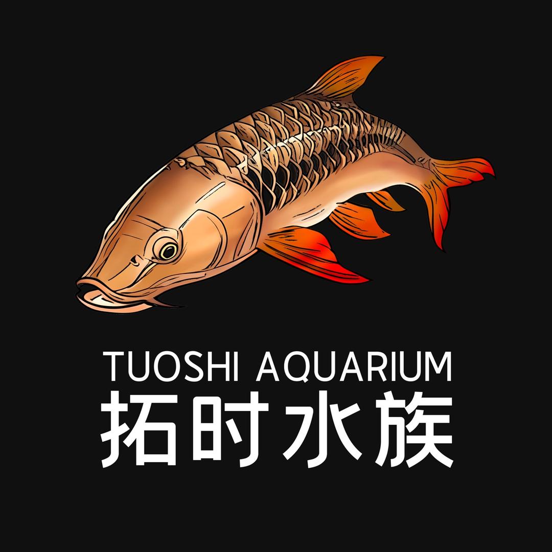 拓时水族