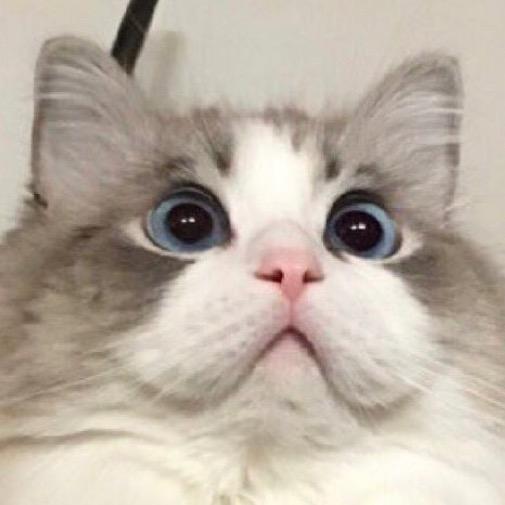 刘驼驼与魏狗狗