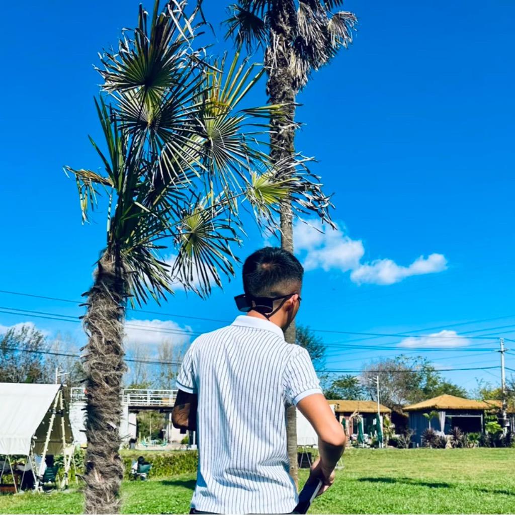 小波二手车（小黑）