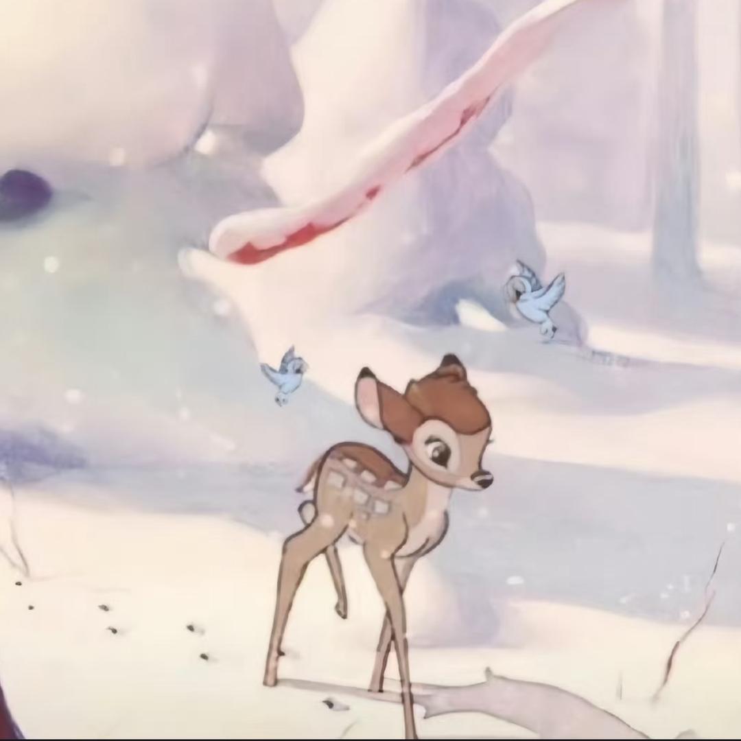 一只英俊的鲸鱼