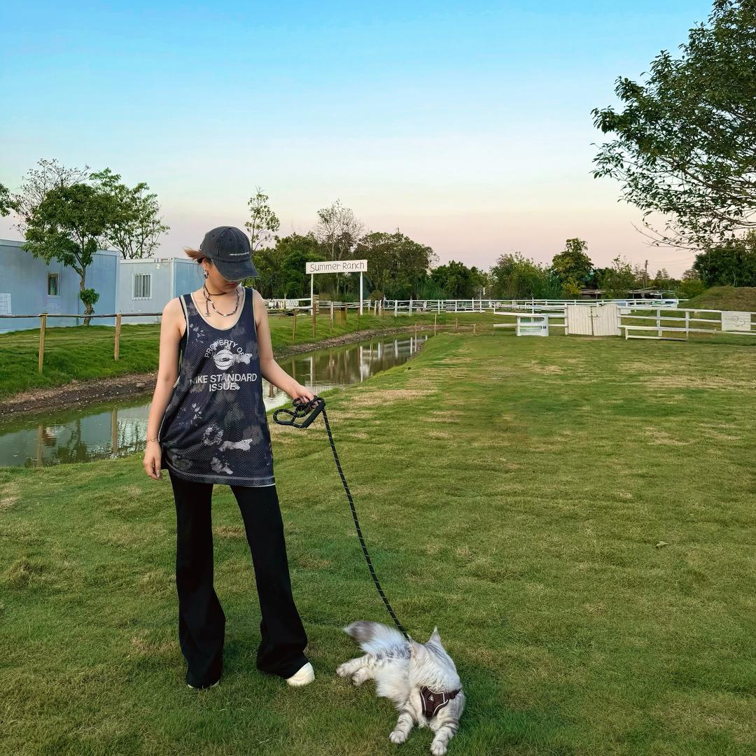 拉美国际🇧🇷乐总