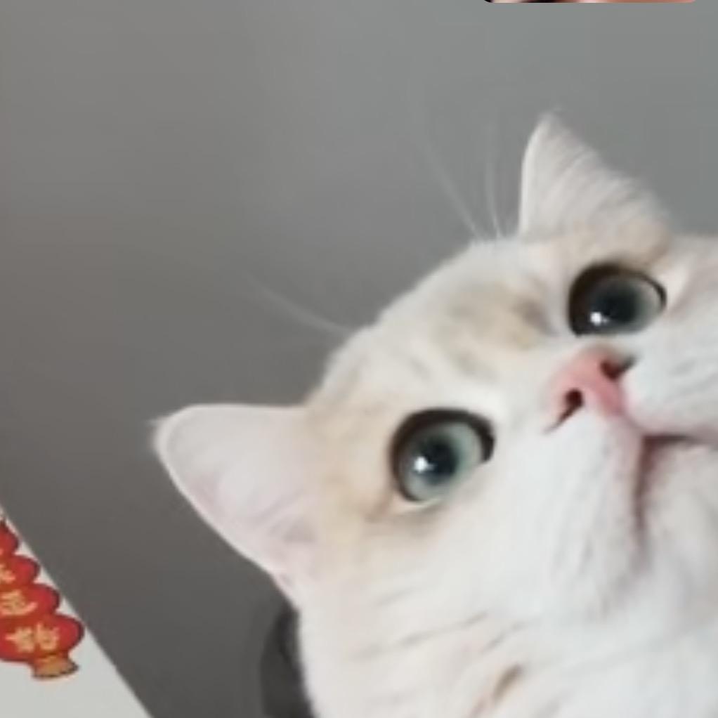 王饱饱_穿搭日记