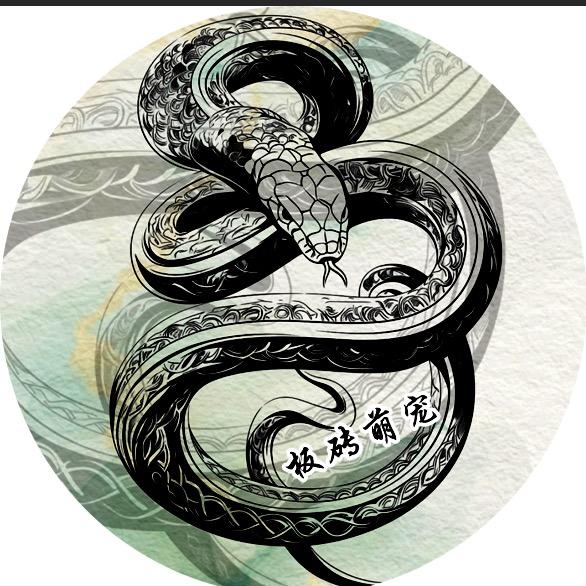 板砖爬宠
