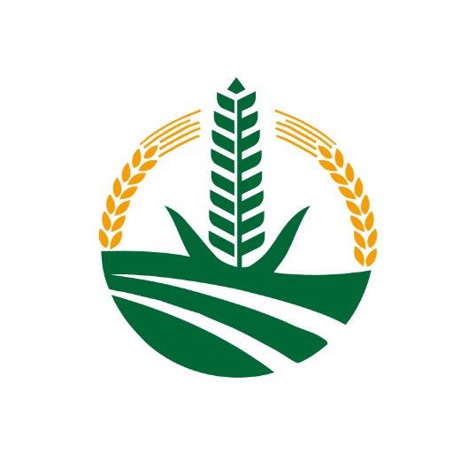 五颜六色
