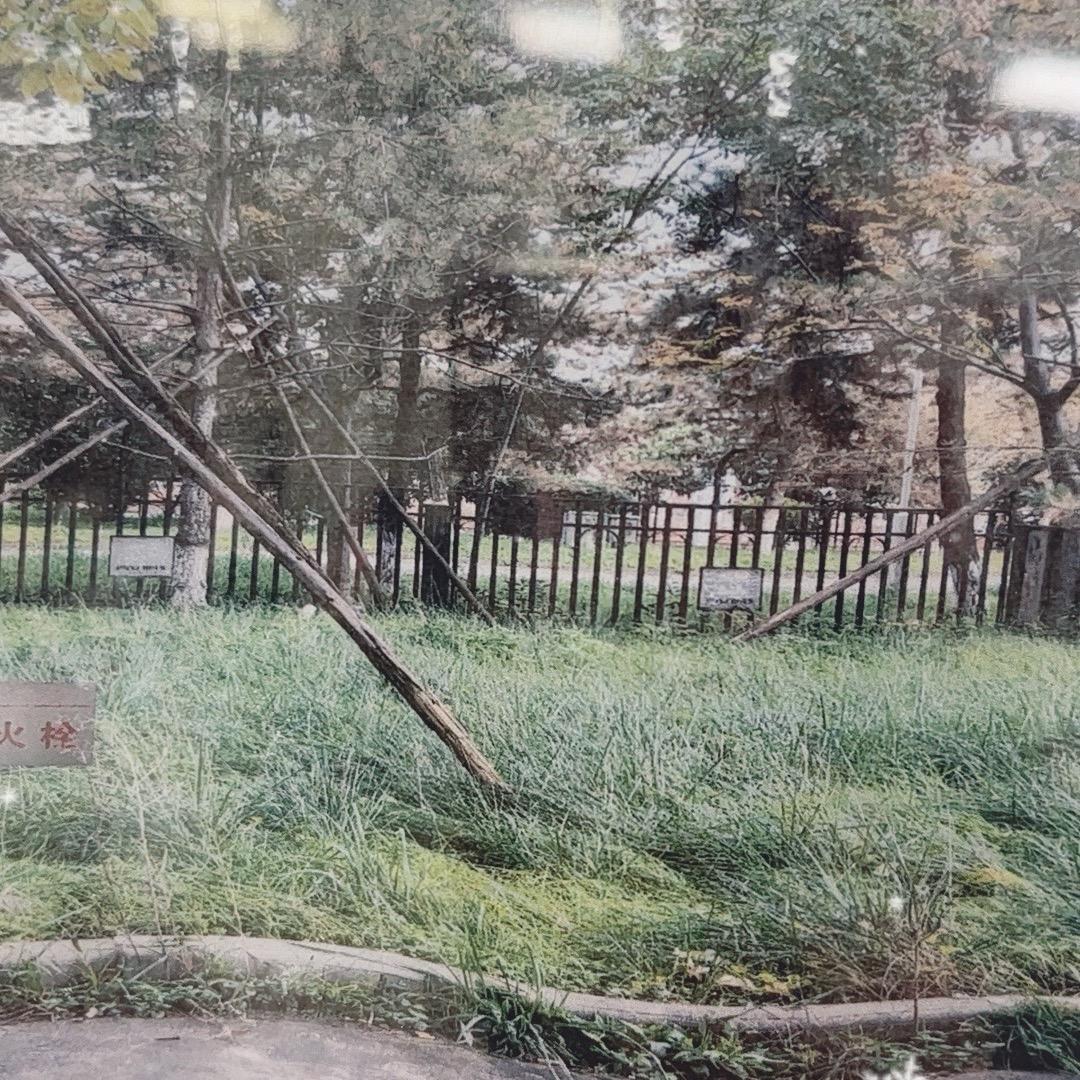 雨田