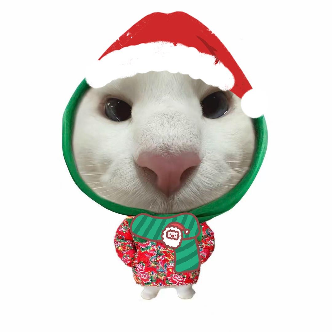 睡不醒的小浩子